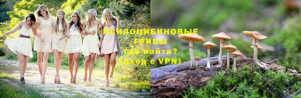 мескалин Алексеевка