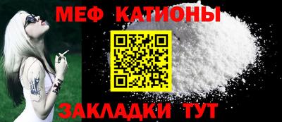 прущие грибы Будённовск