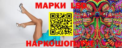 прущие грибы Будённовск