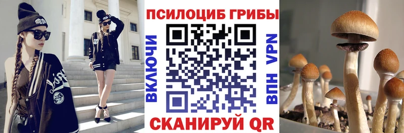Галлюциногенные грибы Magic Shrooms  цены   Гурьевск 