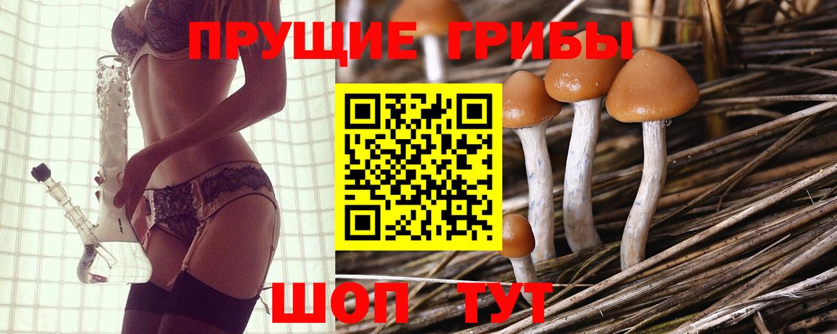 Псилоцибиновые грибы мицелий  Вход с VPN  купить   Гурьевск 